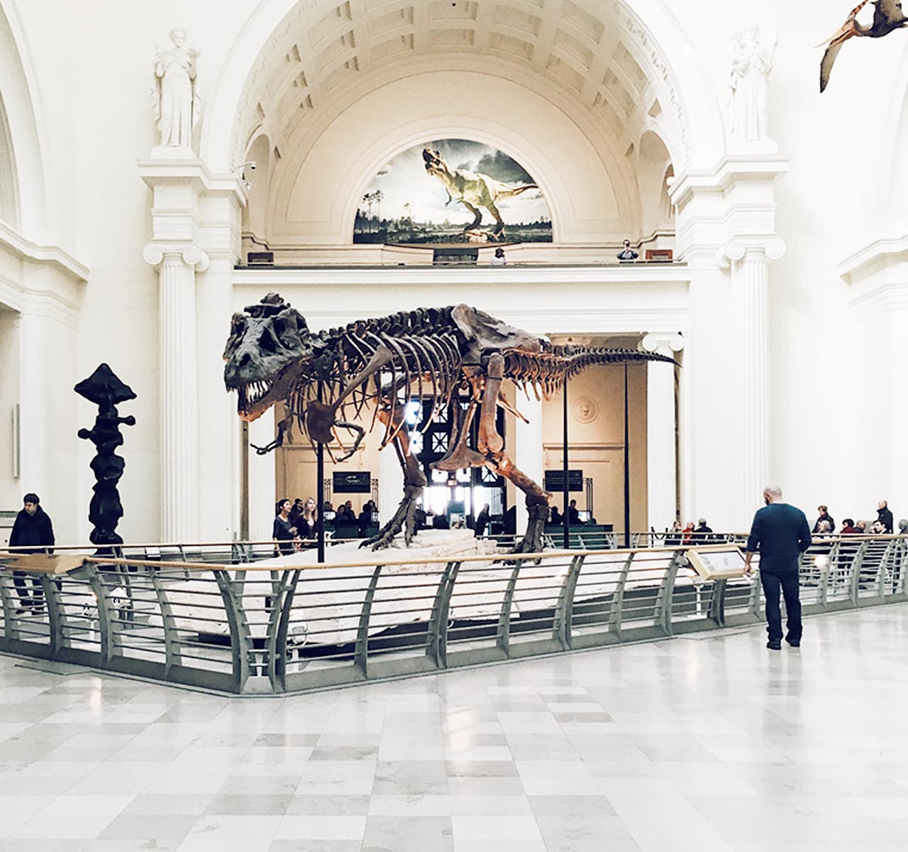 Vestibulum commodo laoreet enim felis mauris